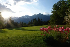 Wiese in der Umgebung von Schloss Rubein in Südtirol